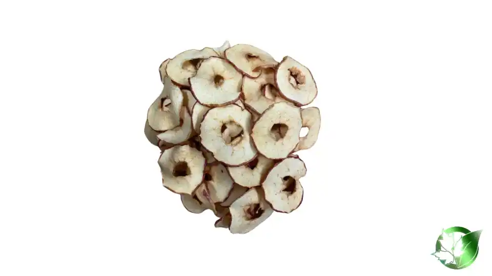 Bulk Dried Apple | Suppliers | Wholesale | ParsaFood Global